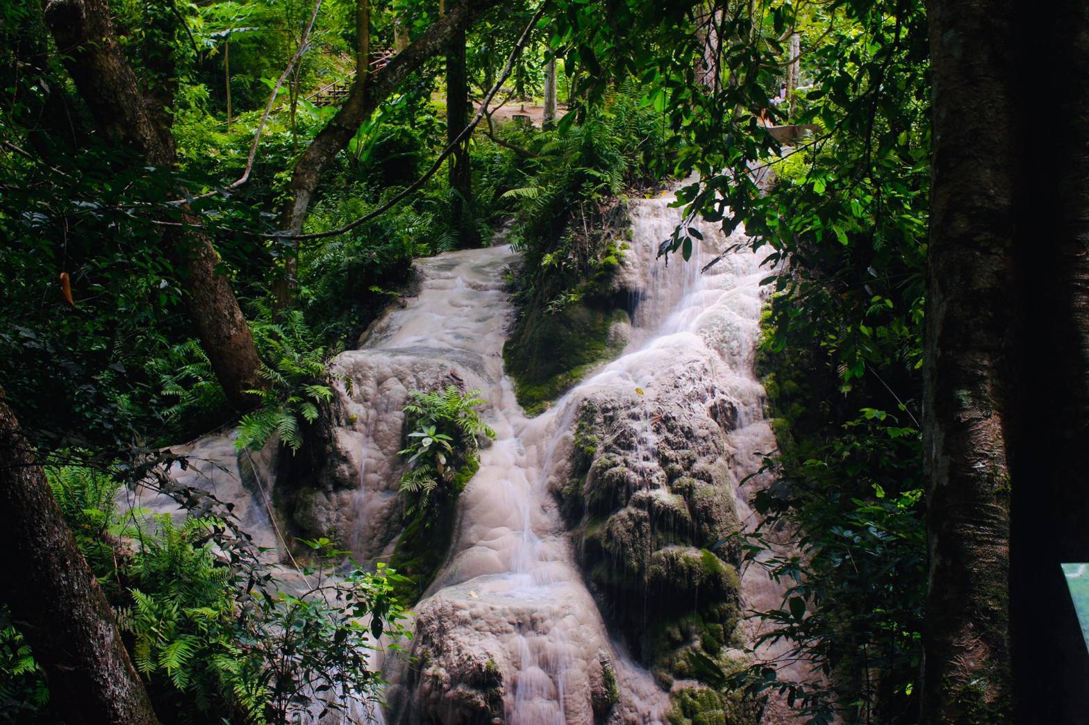 Doi Suthep Temple + Sticky Waterfall - Image 9