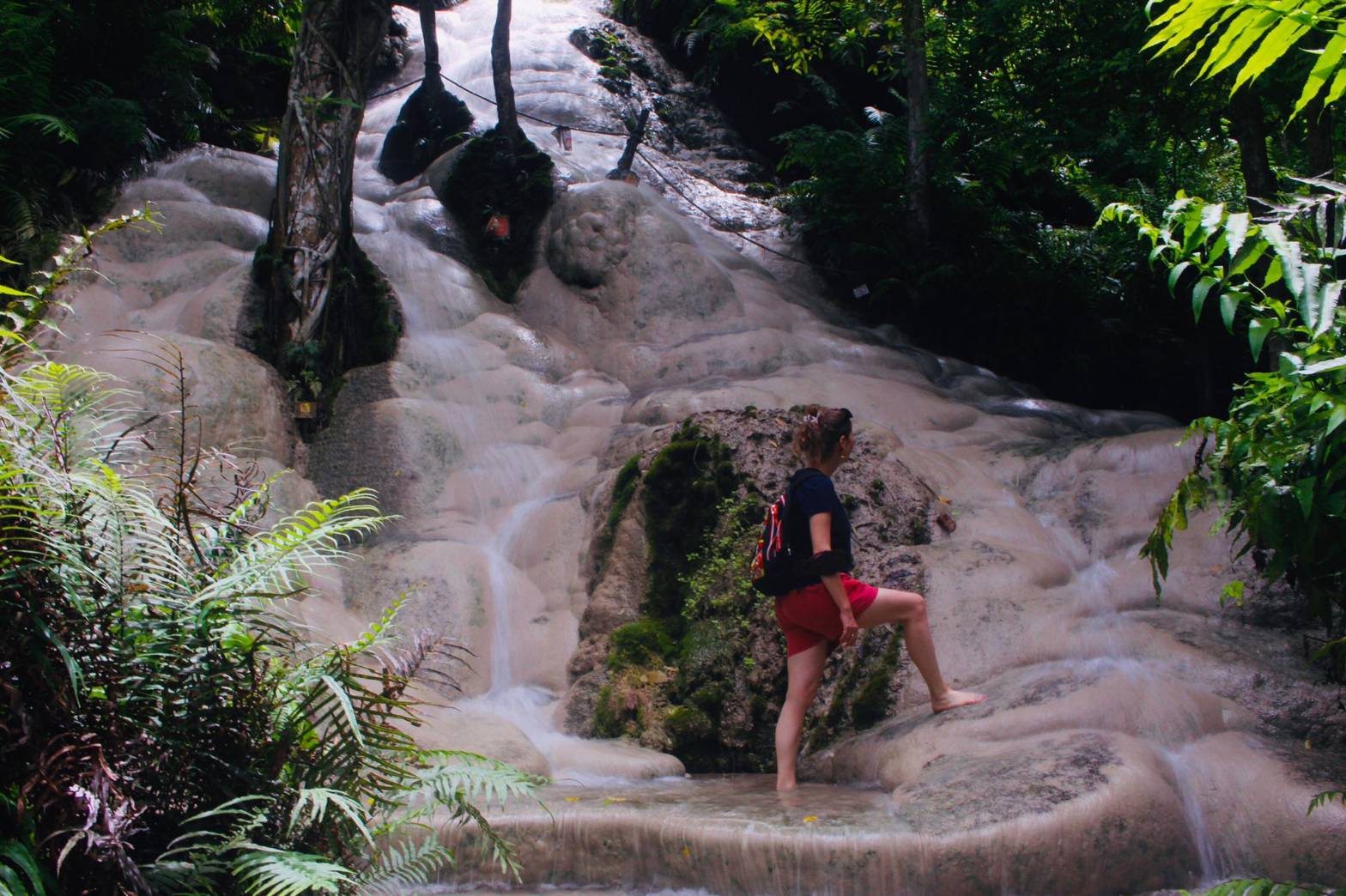 Doi Suthep Temple + Sticky Waterfall - Image 10